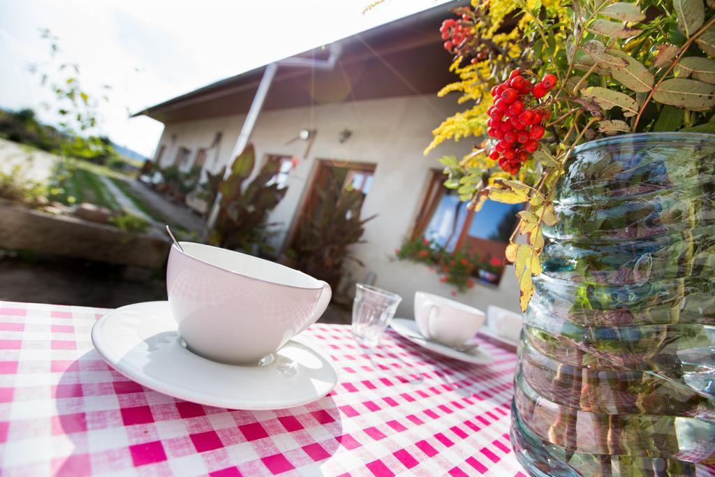 Penzion U Lipy Hotel Suchdol nad Luznici Exterior photo